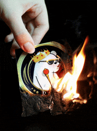 Fire Burn GIF by SuperRareBears