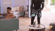 LoveIslandItalia reaction love tv show wolf GIF