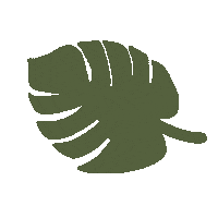 Palm Leaf Sticker