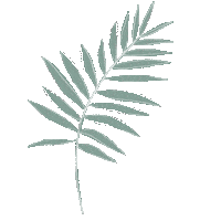 Plant Decor Sticker