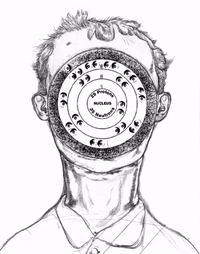 Spring Observe GIF by Alex Boya