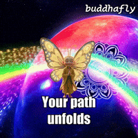 Unity Stars GIF by BuddhaFlyJourney