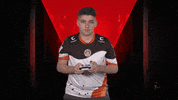 St Pauli Wtf GIF by Bundesliga