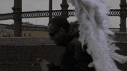 sub pop low key GIF by Sub Pop Records