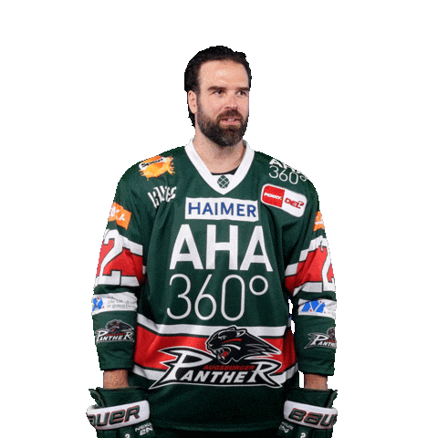 Del Lamb Sticker by Augsburger Panther Eishockey GmbH