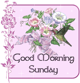 Digital illustration gif. Bouquet of pink and purple flowers with a hummingbird hovering nearby against a pink background. The whole card sparkles as text at the bottom reads, "Good morning Sunday."