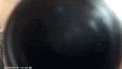 Magfish GIF by 1990retro