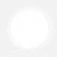 election year california GIF by Voto Latino