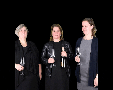 MechelMakelaardij giphyupload yes feest proost GIF