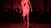 Football Soccer GIF by Pearl River Athletics