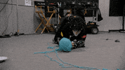 Fred Savage Cat GIF by What Just Happened??!