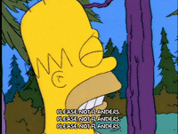homer simpson GIF