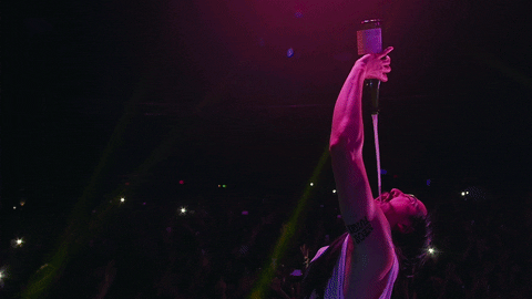 steve aoki celebration GIF by NETFLIX