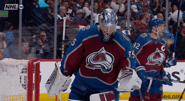 Ice Hockey Sport GIF by NHL