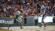 greenwave football athletics tulane greenwave GIF