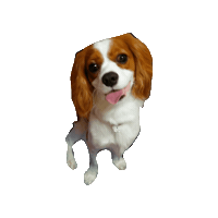 Happy Dog Sticker