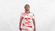 Football Come Here GIF by RB Leipzig