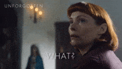 Pardon What GIF by Mainstreet Pictures