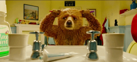 bear cleaning GIF by Videoland
