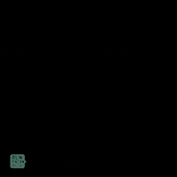 RunForwardMedia  GIF