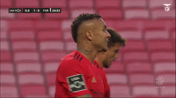 Sl Benfica Smile GIF by Sport Lisboa e Benfica