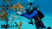 blue planet ocean GIF by BESE