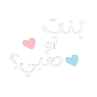 Gender Reveal Sticker