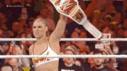 Wrestlemania 35 Sport GIF by WWE