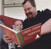 sorgulama_ risev10 baby linux GIF