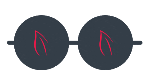 loose leaf tea summer Sticker by Tiesta Tea