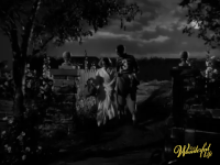 film christmas GIF by It’s a Wonderful Life
