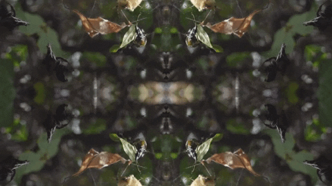 Art Love GIF by jorgemariozuleta