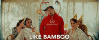 p_lo bay area bamboo plo bamboozled GIF