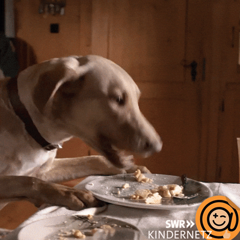 Fail Oh No GIF by SWR Kindernetz