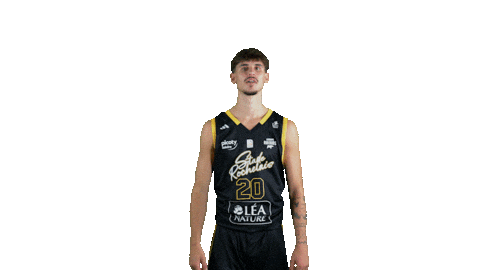 Basket Leray Sticker by Stade Rochelais