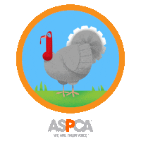Farm Animal Turkey Sticker by ASPCA