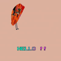 jessicacho1246 hello bird owl 새 GIF