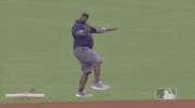 Regular Season Sport GIF by MLB
