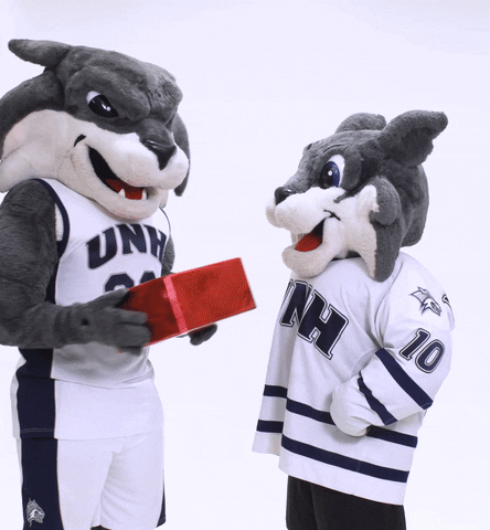 unh hug GIF by University of New Hampshire
