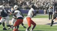 Football Mike GIF by JMUDukes