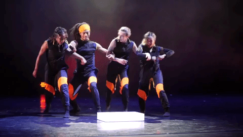 the bricklayers of oz GIF by Chicago Dance Crash
