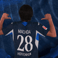 Sport Bundesliga GIF by TSG Hoffenheim