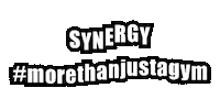 Synergyfitness synergy teamsynergy synergyfitness synergygroupfitness Sticker