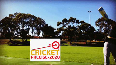 cricket precise GIF