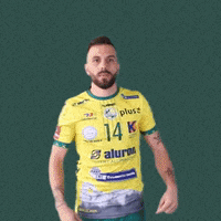 Pole Maxi GIF by Aluron CMC Warta Zawiercie