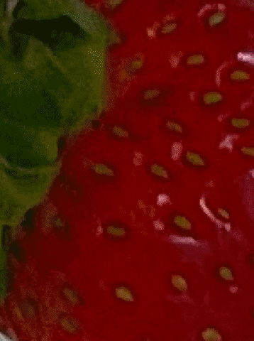 merveakyel giphygifmaker GIF