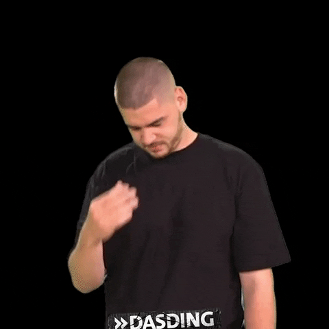 Face Facepalm GIF by DASDING