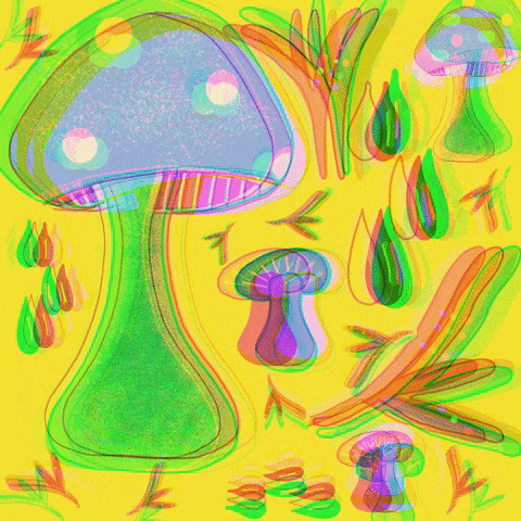 Magic Mushrooms Shrooms GIF by Daisy Lemon