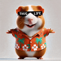 Friendship Love GIF by Guinea Gambino