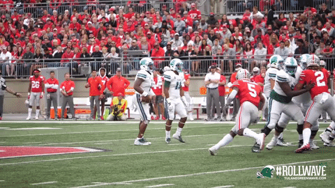 football celebration GIF by GreenWave